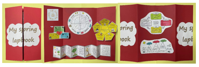 图片1.png 图片1.png