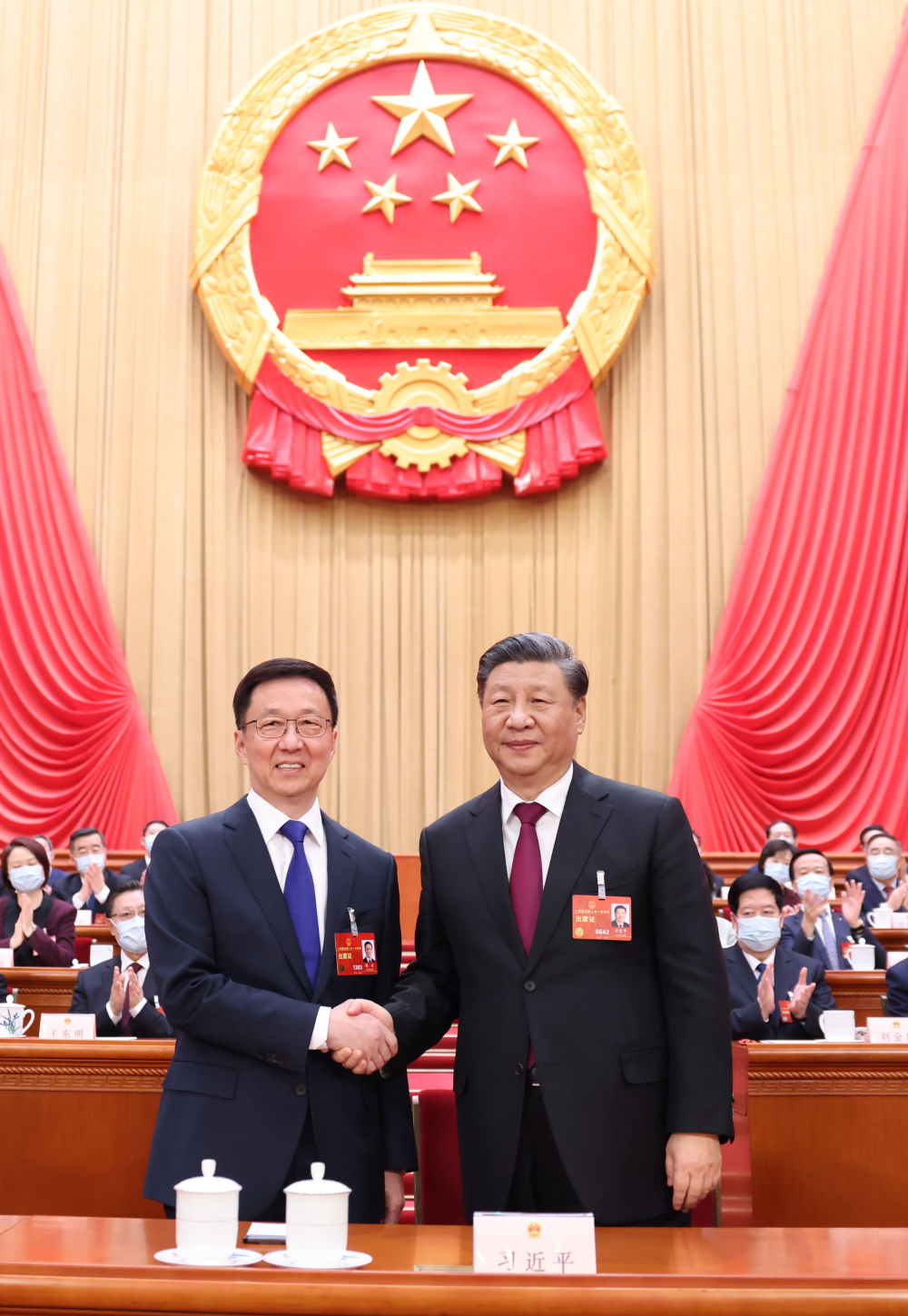 十四届全国人大一次会议选举产生新一届国家领导人 习近平全票当选国家主席中央军委主席.jpg