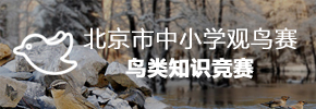 北京市中小学观鸟赛鸟类知识竞赛.jpg