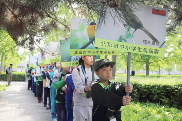 2016年北京市中小学生观鸟比赛3