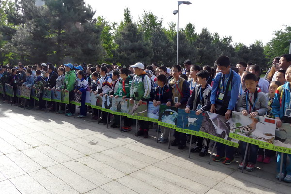 2016年北京市中小学生观鸟比赛6