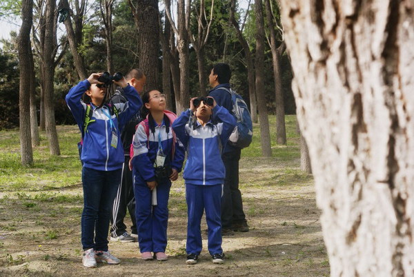 2016年北京市中小学生观鸟比赛4