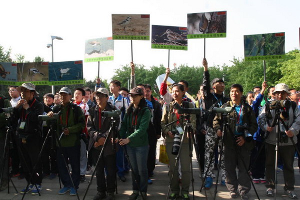 2016年北京市中小学生观鸟比赛5