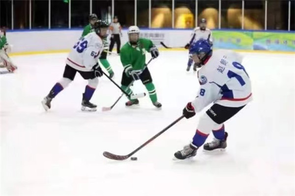 全国学校冰雪运动竞赛暨冰雪嘉年华活动 (3).jpg